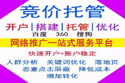 SEM公司广告策略案例：如何实现ROI最大化